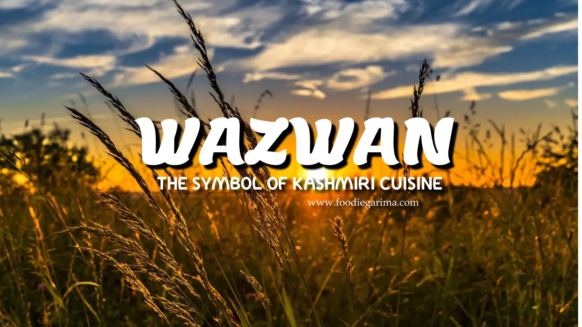 WAZWAN | The Symbol Of Kashmiri Cuisine