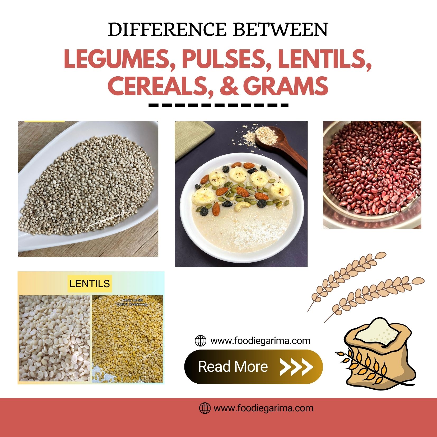 Difference Between Pulses, Cereals, Legumes, Lentils, and Grams