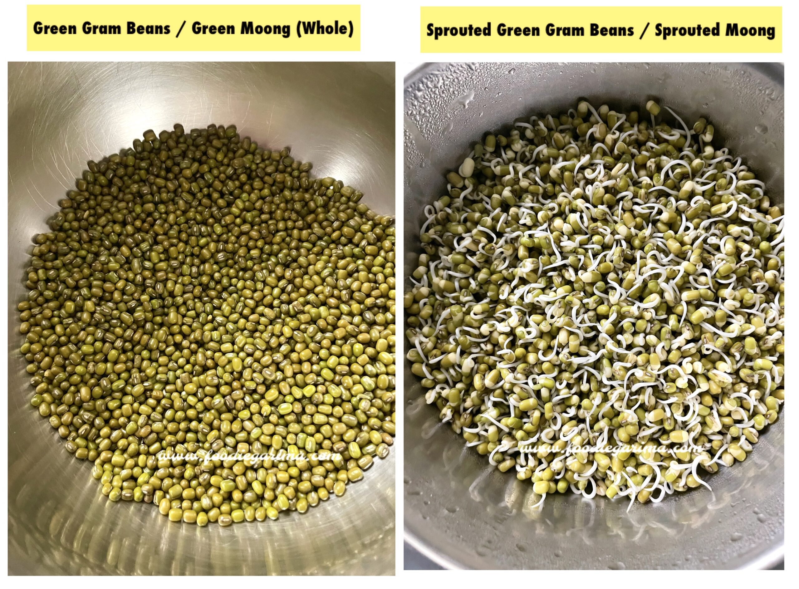 How to Prepare Green Moong Sprouts at Home | Green Gram Beans Sprouts